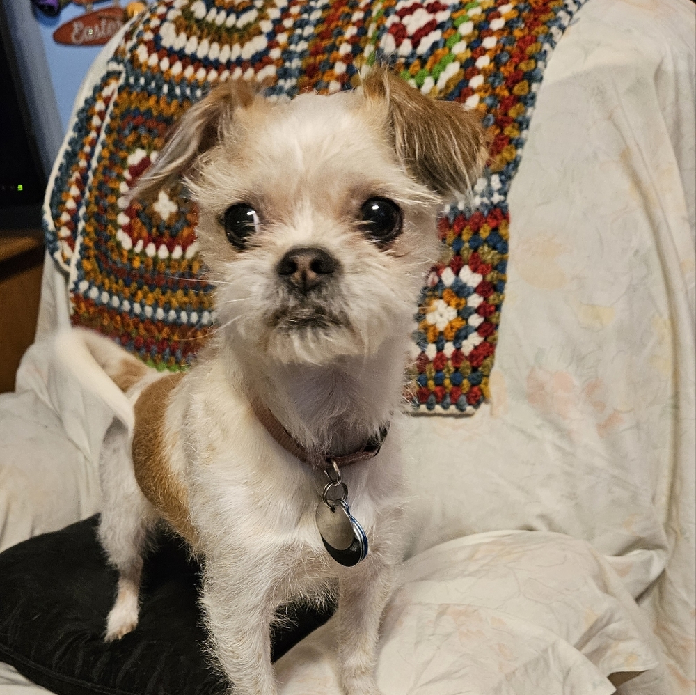 Meet your Posher, Wendy see our pictures - Picture 9 of 16